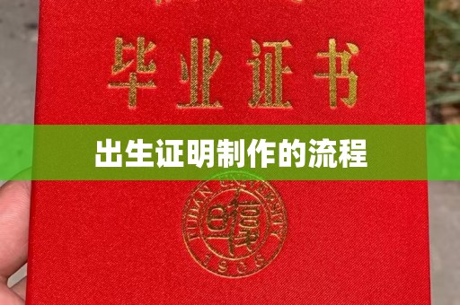 凤泉出生证明制作的流程